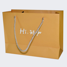 Custom Logo Printed Paper Shopping Gift Bags (OEM-PB022)